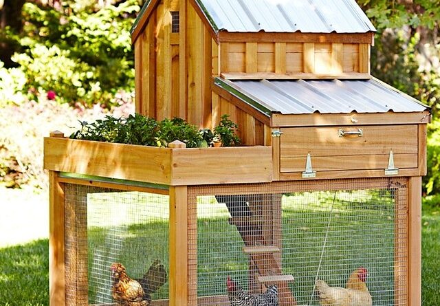 small chicken coop interior layout