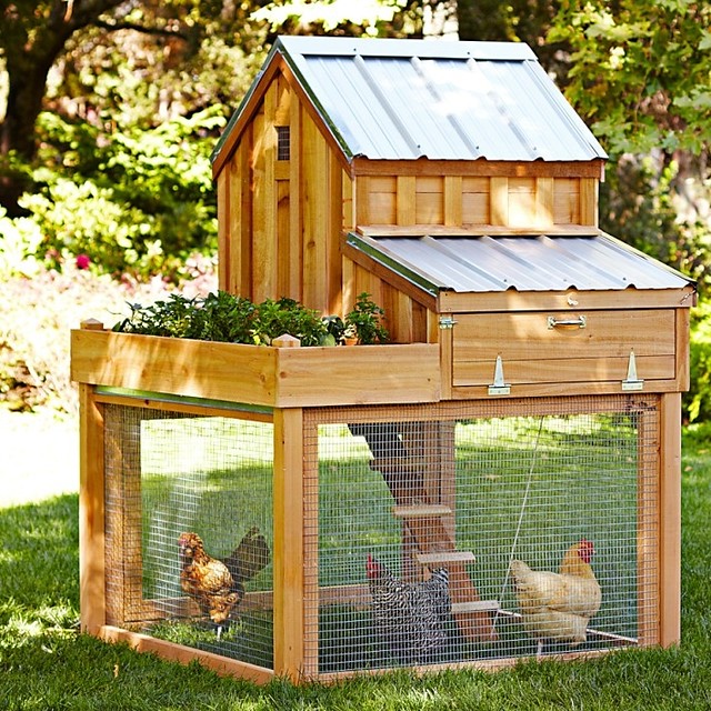 Maximizing Best Space and Comfort: Small Chicken Coop Interior Layout